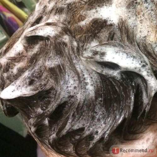 Шампунь Schwarzkopf Professional BC Scalp Therapy Deep Cleansing Shampoo фото