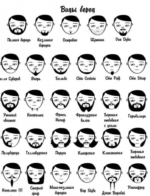 Формы бород