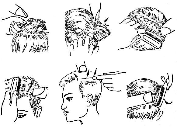 На схеме изображено расположение щетки и фена на различных участках головы.