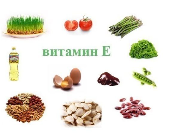 Фото: продукты с витамином Е