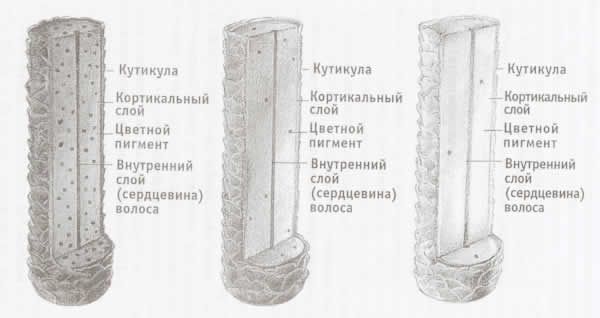 Все осветлители рассеивают натуральный темный цвет, а не удаляют его.